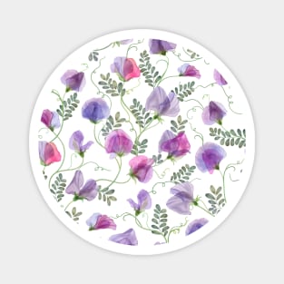 Sweet pea watercolor flowers and leaves seamless translucent composition. Transparent floral spring romantic bouquets Magnet